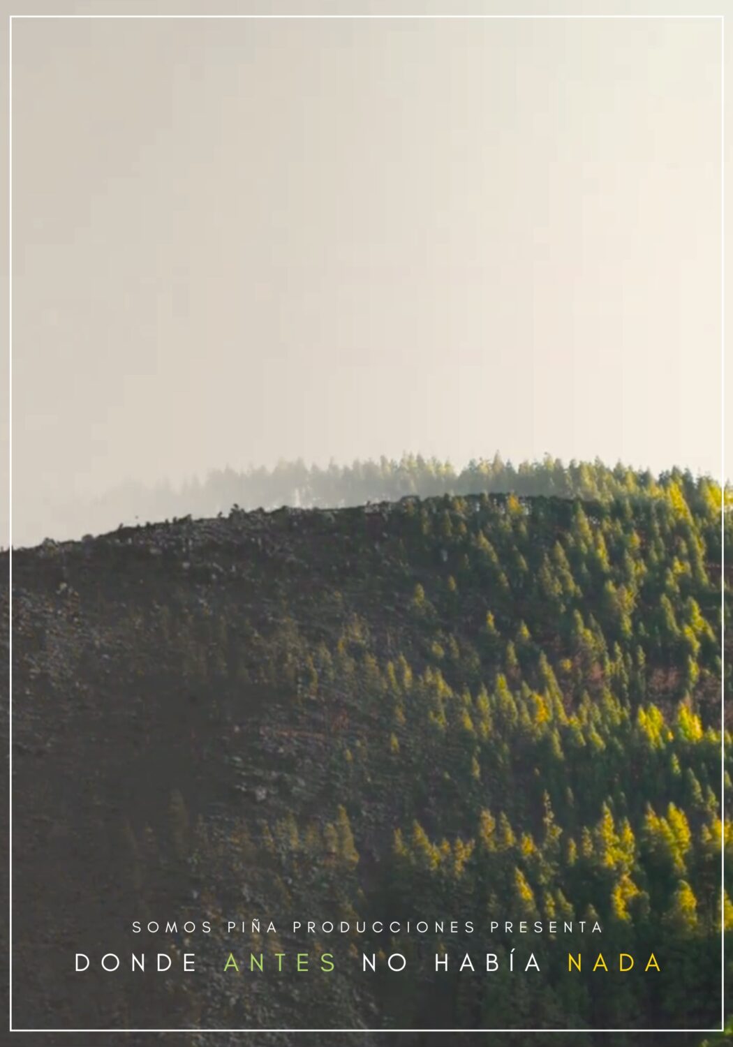 Cartel Donde antess no habia nada Reforestación